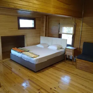 https://retro-wood.istanbul-turkeyhotels.com